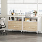 Office File Cabinet with Shelf, 2 Drawer Filing Cabinet for Letter Size